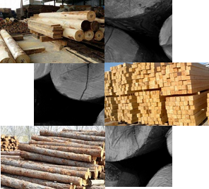 百年品質(zhì)傳承，源于每一環(huán)節(jié)的考究